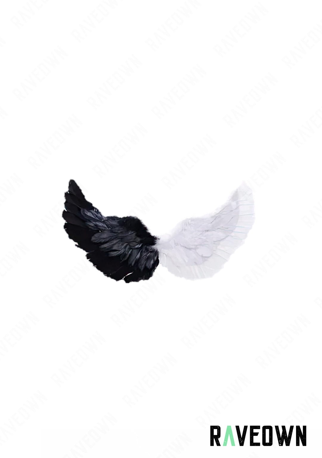 RAVEOWN | Petites ailes à Plume | RavenGlow Blanc et Noir / 65 x 35 cm