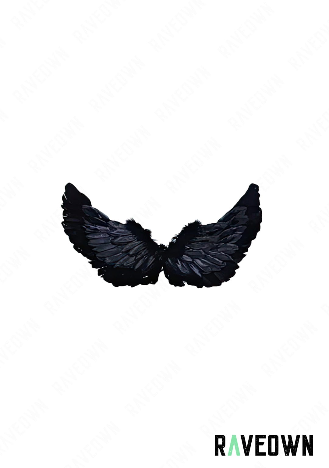 RAVEOWN | Petites ailes à Plume | RavenGlow Noir / 65 x 35 cm