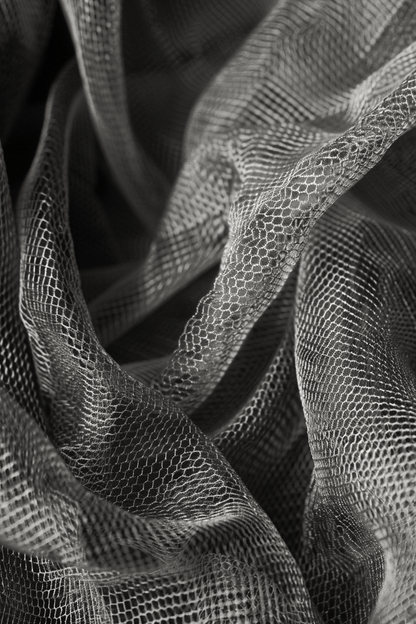 Gris / 1