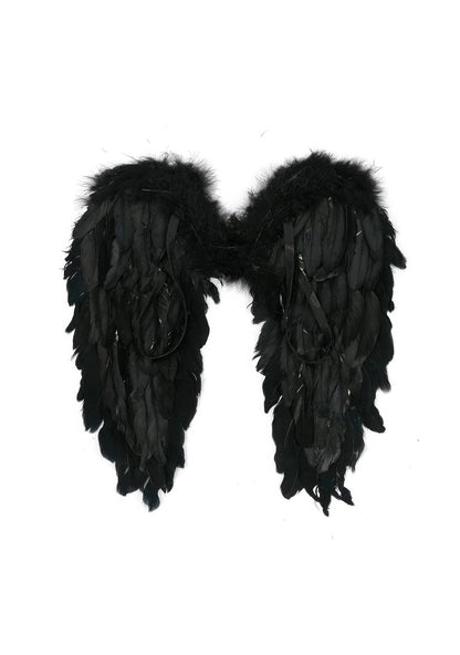 Ailes Nocturnes | RavenGlow